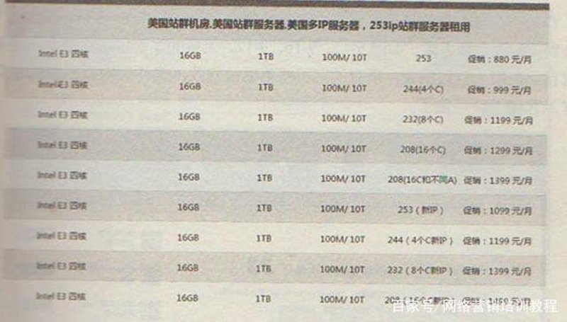揭秘站群系统背后的奥秘——让网站像花朵一样竞相开放